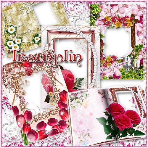 Beautiful Frames for Editing Pictures Whatz More