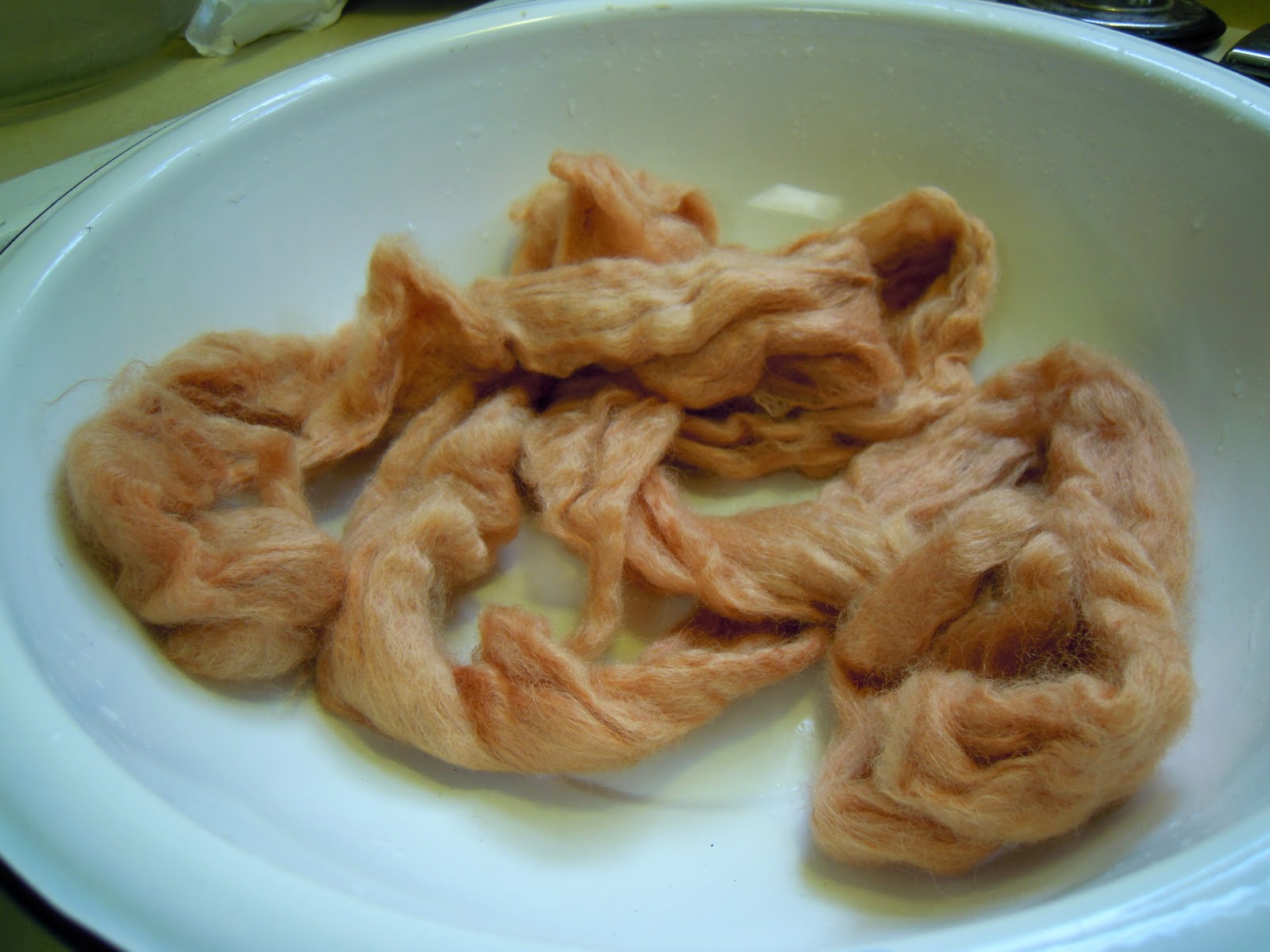 The Inconsequential Blogger Dyeing with cleavers root and pokeberries