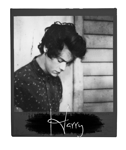 ~Harry Styles~