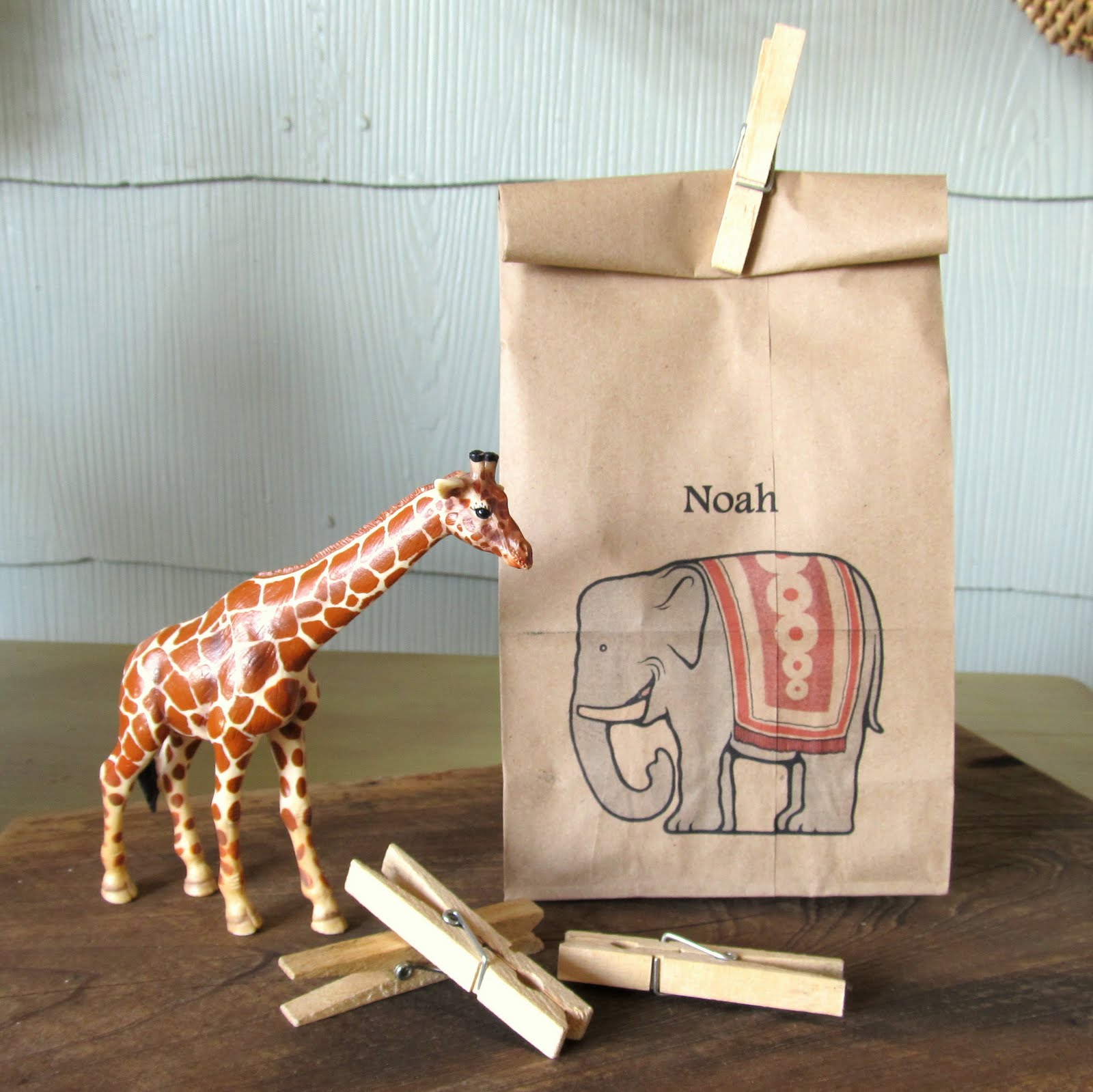 Cottage Hill Fun Printed Lunch Bags