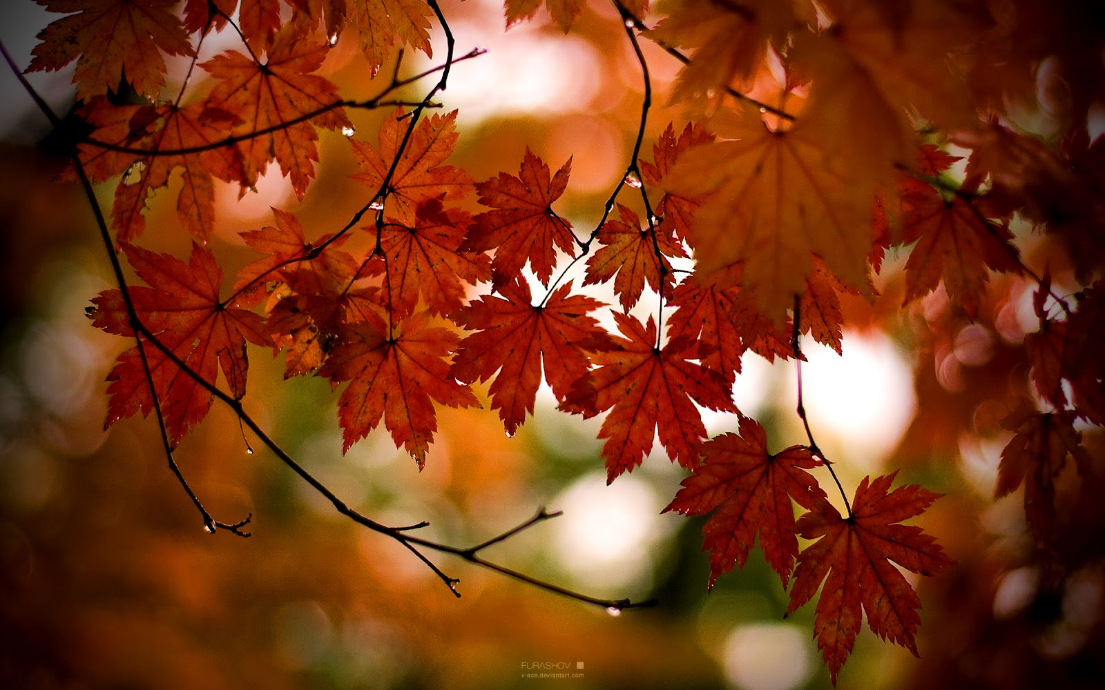 http://4.bp.blogspot.com/-h9oCibLeX2M/UD8S6eu-t6I/AAAAAAAAATA/M4tAtXSn9LQ/s1600/Top%2012%20Cool%20Windows%208%20HD%20wallpapers%20for%20desktop%20backgrounds%20(11).jpg