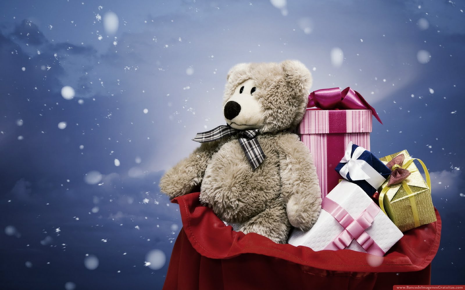 Oso de peluche con muchos regalos (wallpaper)