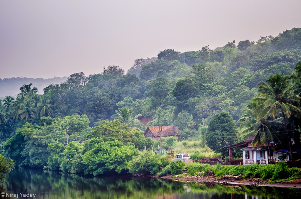 Konkan village scenery