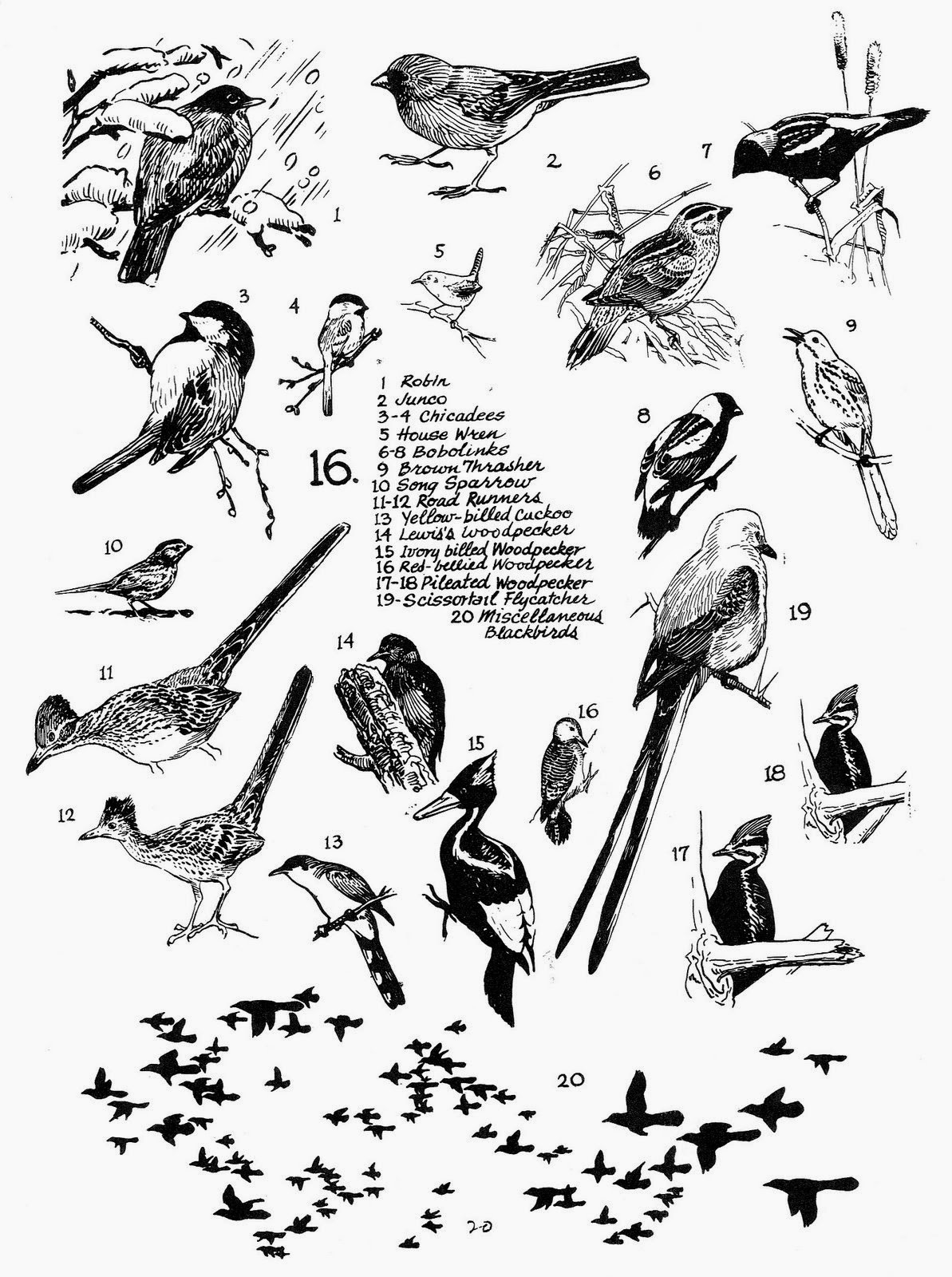 Lunagirl Moonbeams by Lunagirl Vintage Images: Free Bird Drawings!