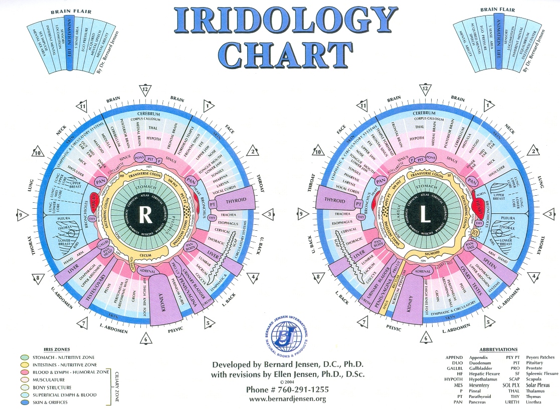 Iridology Eye Chart
