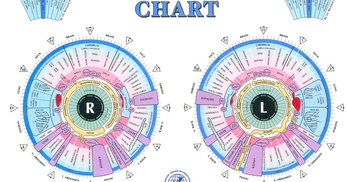 Iridology Chart