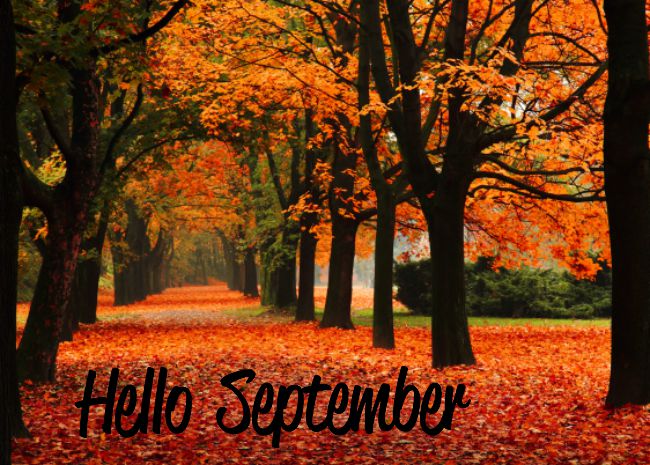 hello september everyday grace