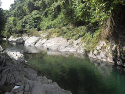 cuenca del rio Aguaclara, en peligro por las minas ilegales de oro de "los paisas",