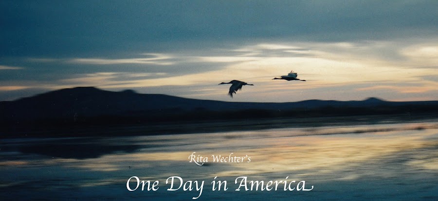 One Day in America