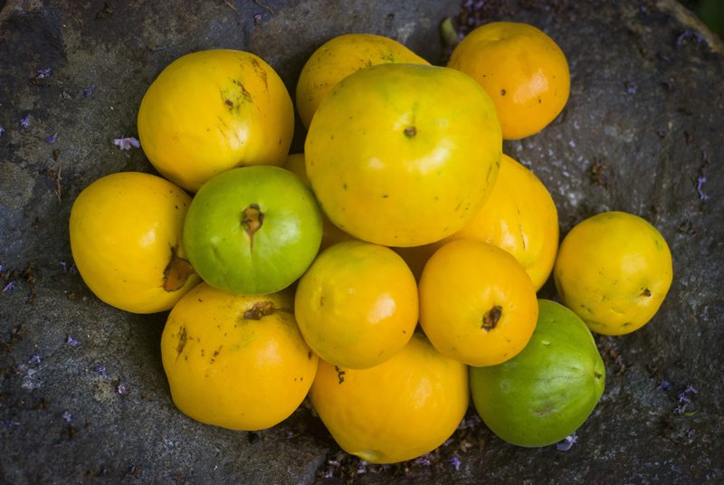 Araza Fruit, Araca Boi (Eugenia stipitata) Smoothie ingredient