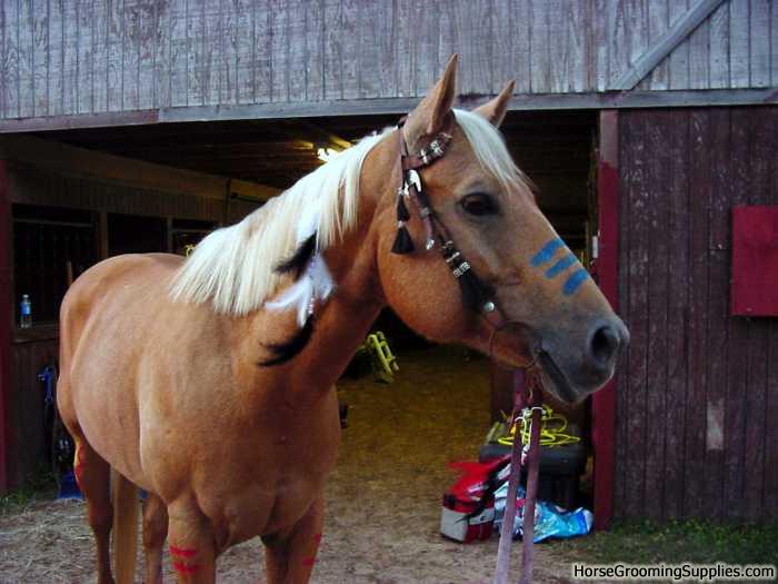 American Fancy Dress Themed Ideas? - Yahoo! UK &amp; Ireland Answers