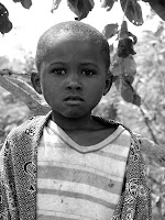 A very sad little orphan A very sad little orphan