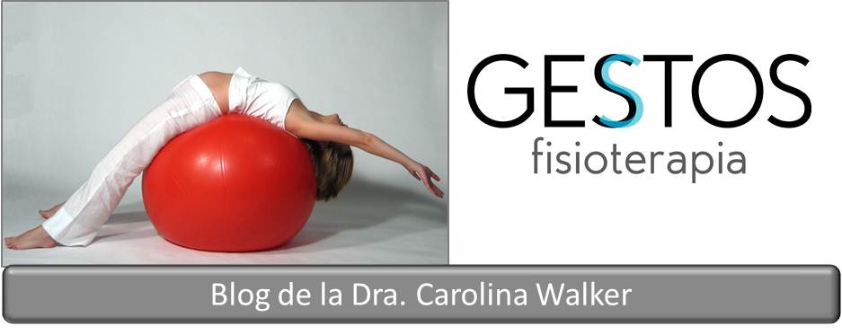 DISFUNCION SUELO PELVICO disfuncion suelo pelvico: