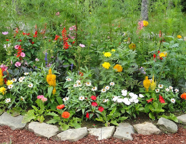 home gardening flowers and vegetables