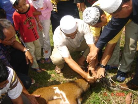 sembelihan dalam islam