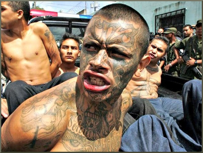 Photo via Breitbart