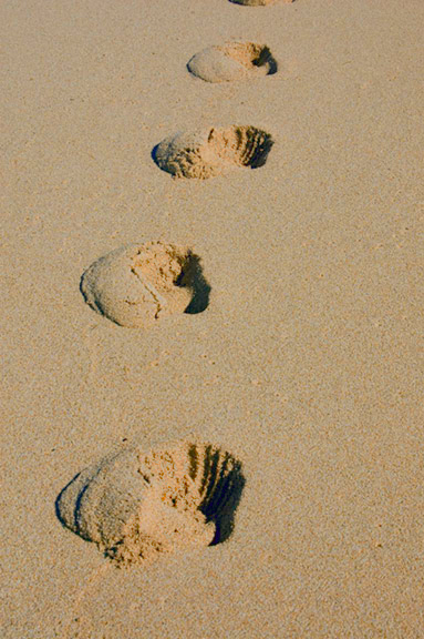 Sinking in Luxurious Ankle-Deep Sunset Beach Sand