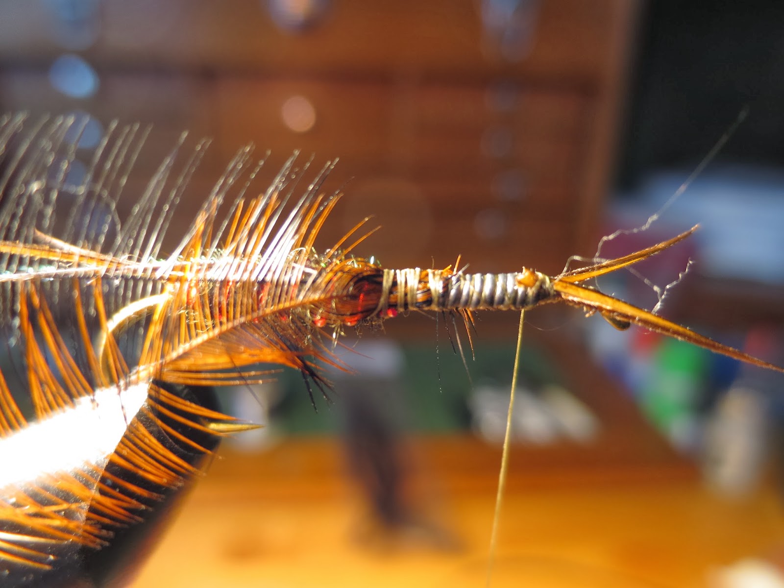 Skwala Stonefly Idaho Fly Fishing