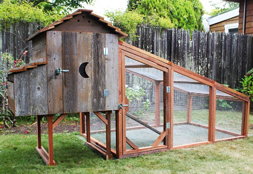 contoh gambar model rumah kandang ayam desain unik minimalis modern dari kayu terbaru 2015/2016 contoh gambar model rumah kandang ayam desain unik minimalis modern dari kayu terbaru 2015/2016
