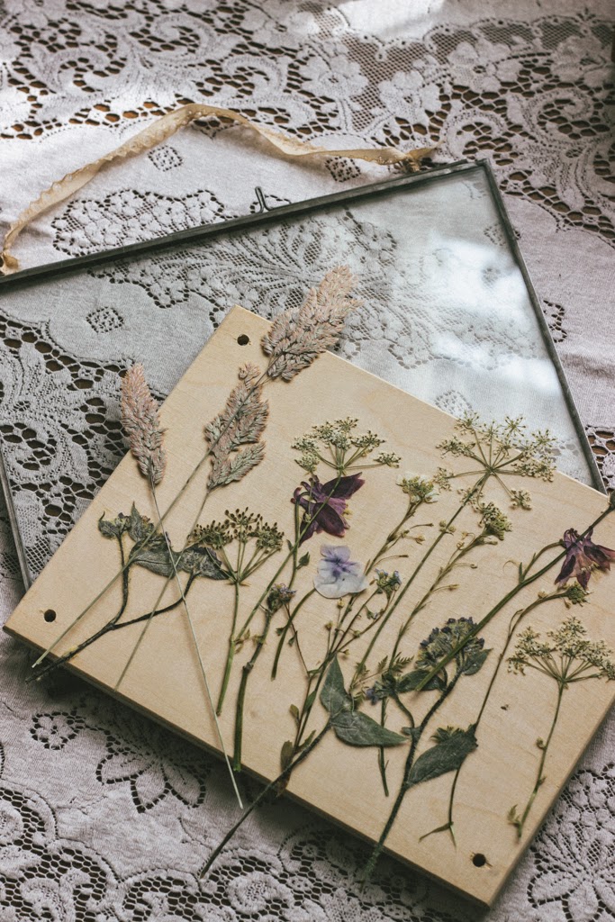 Pressed wild flowers in glass frames 