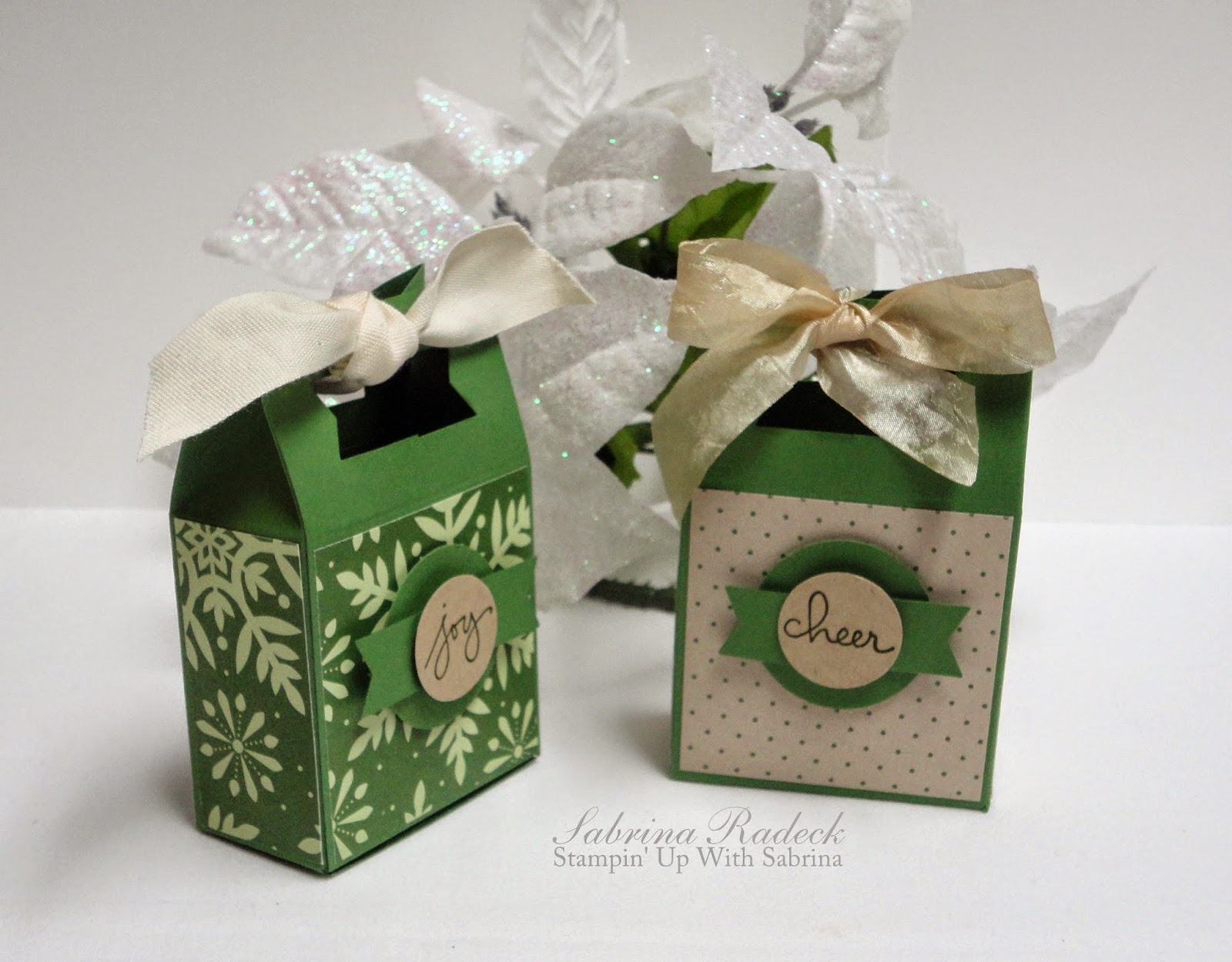 Stamp & Create With Sabrina Mini Gift Bag Box