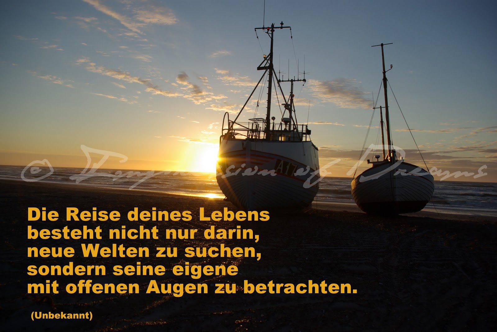 Lucciola Spruch des Tages 29.03.15