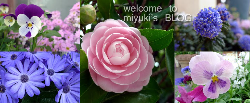 :: Miyuki 開心 Blog 一番 ::