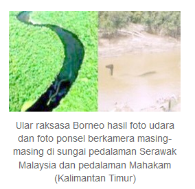 Legenda Ular Lembu Di Pusaran Sungai Jembatan Mahakam Alfiforever