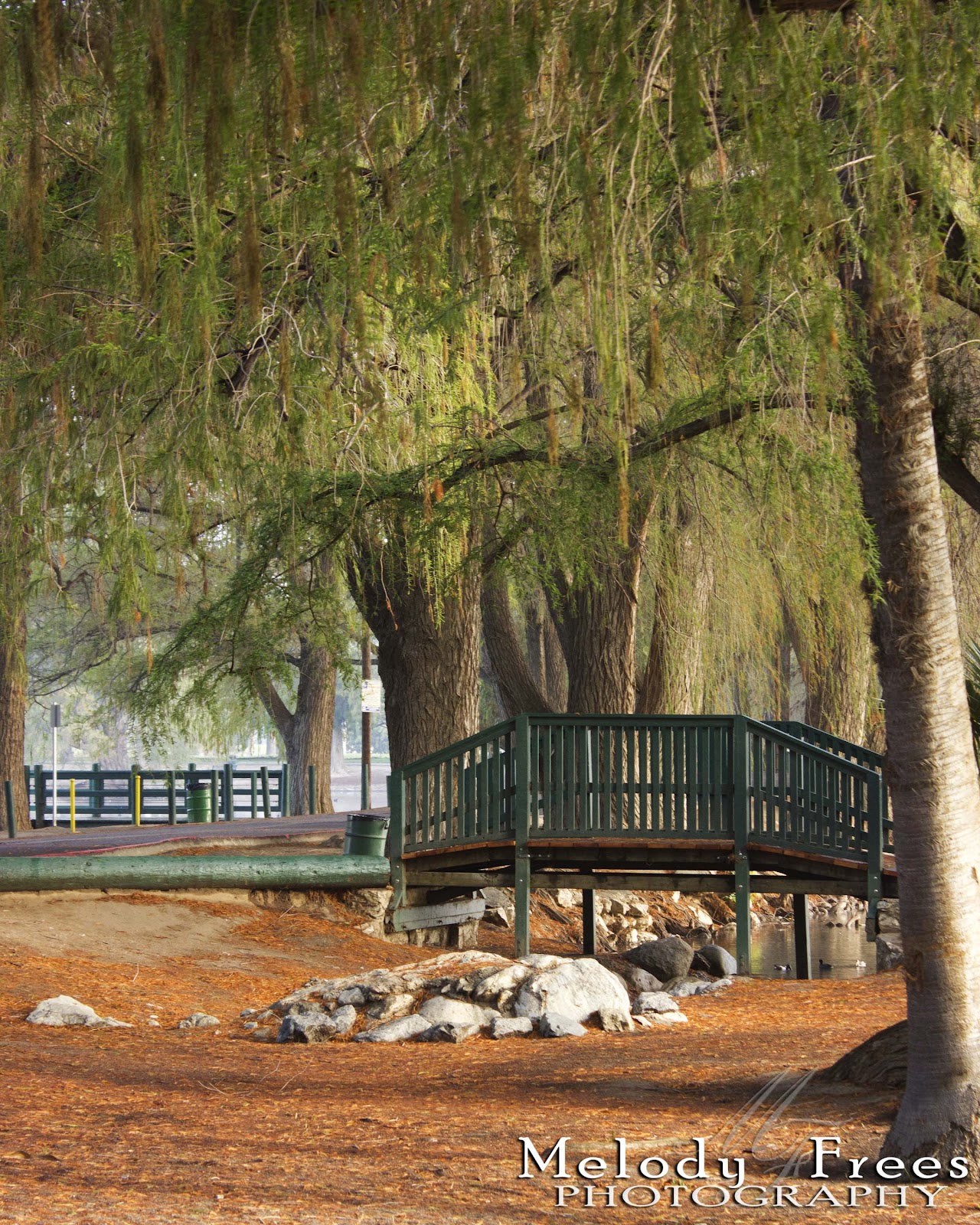 Melody Frees Photography Fairmont Park again