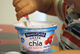 Stonyfield Greek and Chia