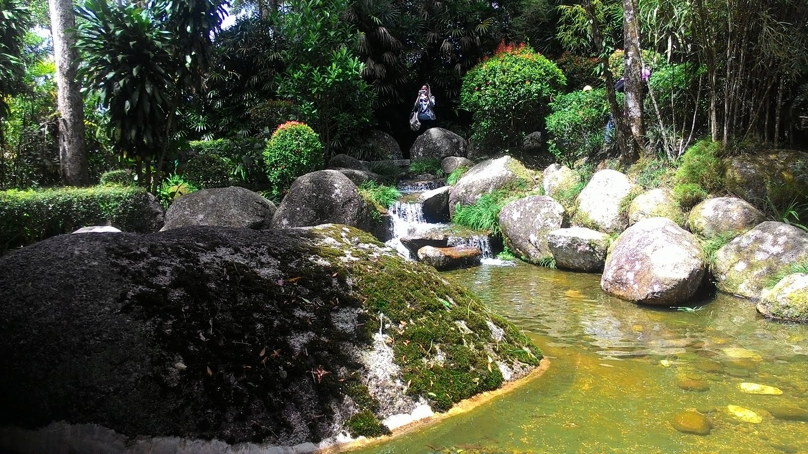 Koi Fish Pond