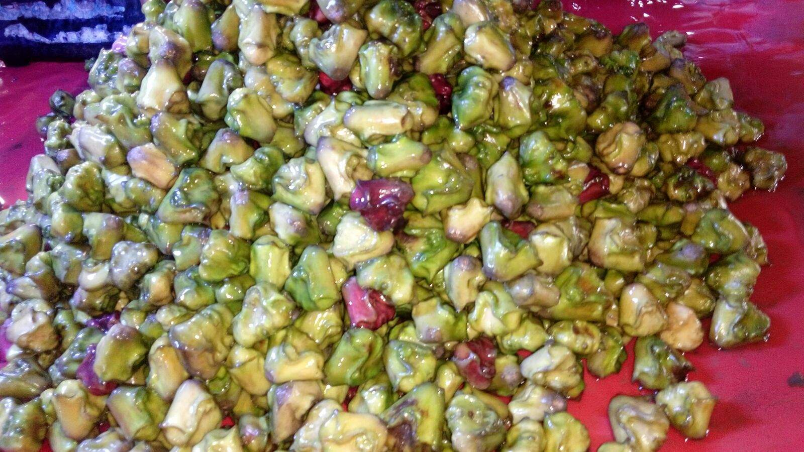 Health Benefits of water caltrop/Singhara Treasure Living