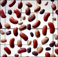 Haricots Bon pour la santé