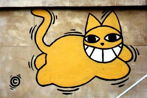 Norman rencontre mr chat