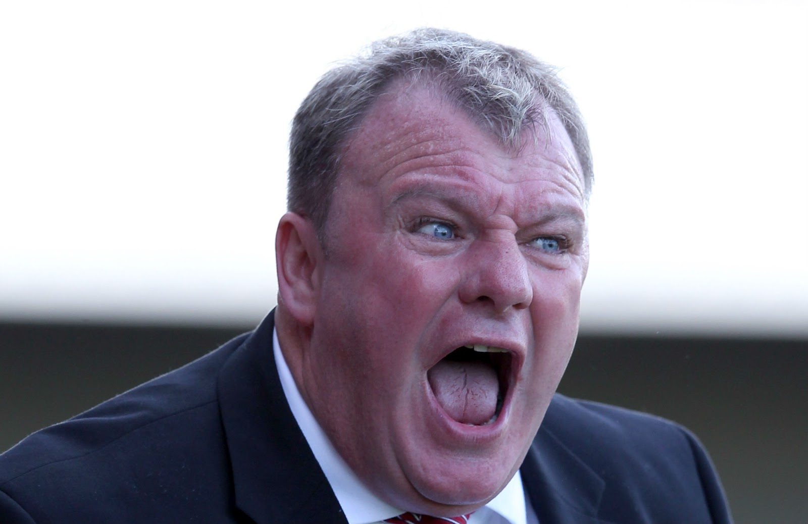 Steve Evans net worth