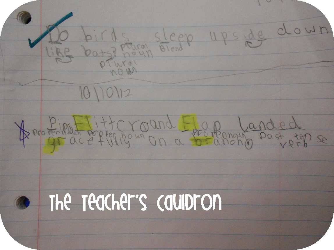 Bats, Sentence Imitation, and Ode to my bloggygirls! Teacher by the