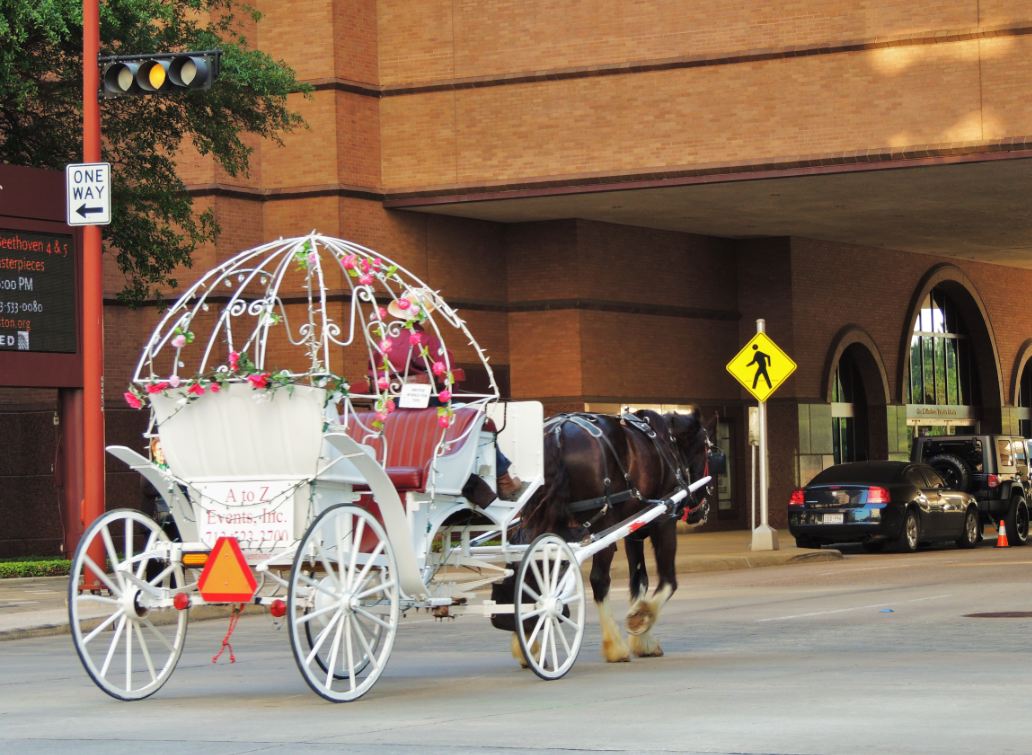 Houston in Pics Horse drawn carriage rides in Downtown Houston (pictures)