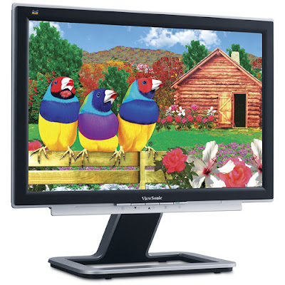 new ViewSonic VX2025WM 20