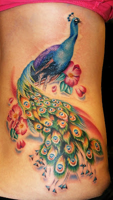 Peacock Tattoos Peacock Tattoos