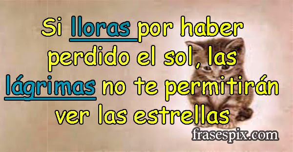 Si lloras por haber perdido el sol, las lágrimas no te permitirán ver las estrellas imagen de un gatito triste