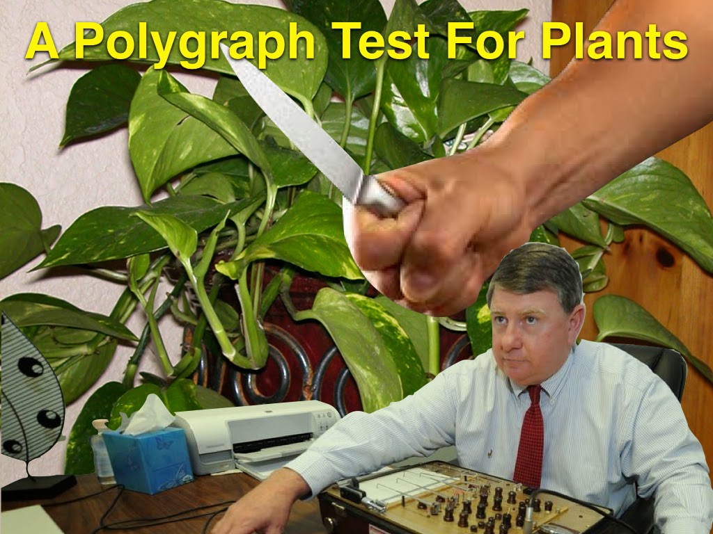 Plants Have Feelings Too! Philodendron Identifies