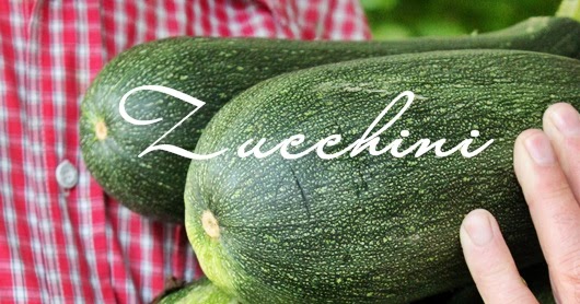 INNENANSICHTEN: Neues aus dem Küchengarten...