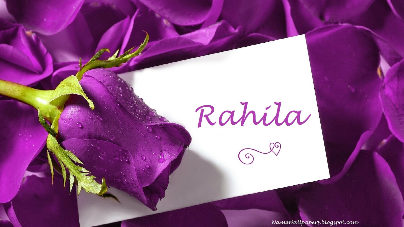 Featured image of post Stylish Name Raheela Name Image - Of course, you wouldn&#039;t want a ubiquitous or typical name that.
