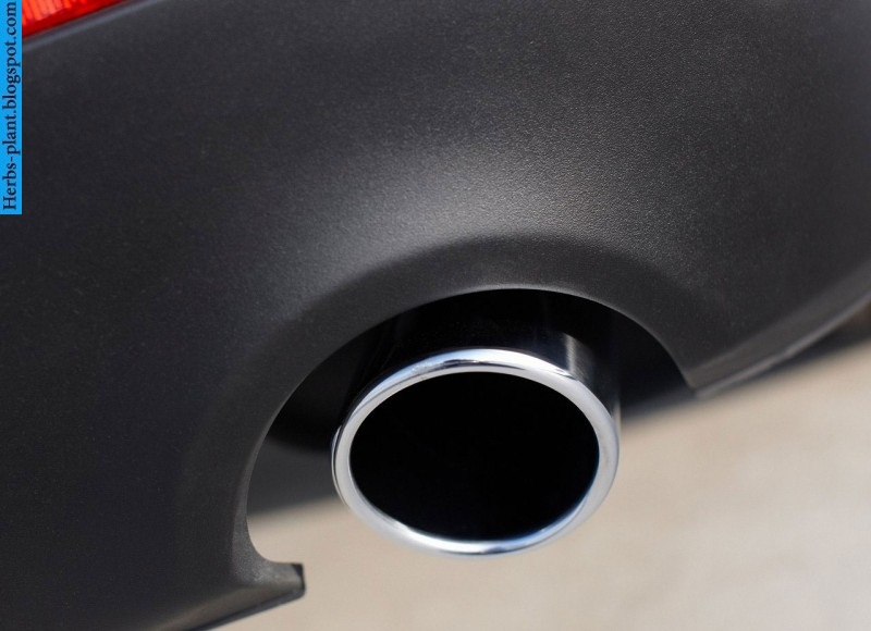 Ford taurus car 2013 exhaust - صور شكمان سيارة فورد تورس 2013 Ford taurus car 2013 exhaust - صور شكمان سيارة فورد تورس 2013