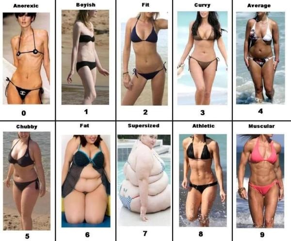 Average Body Women