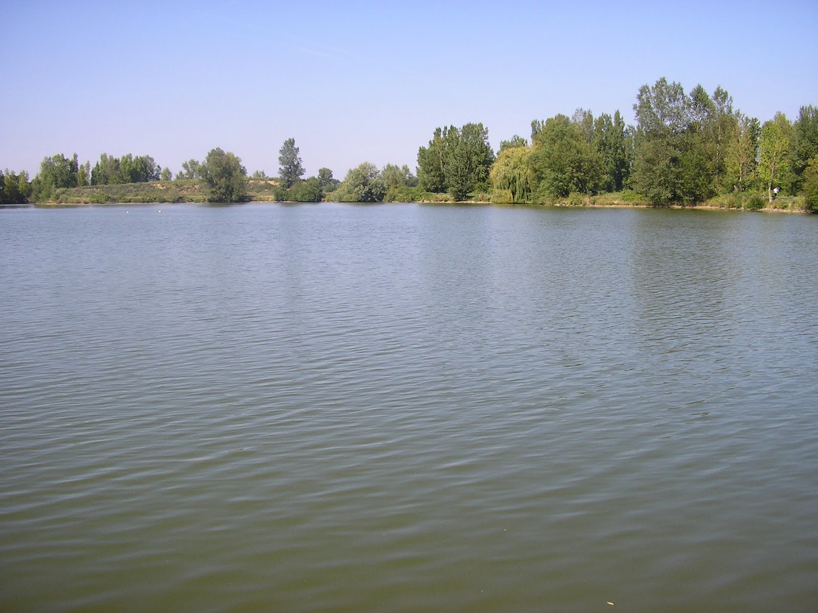 Pecher la carpe au coup Lac de Raby a Gagnac sur Garonne (31)