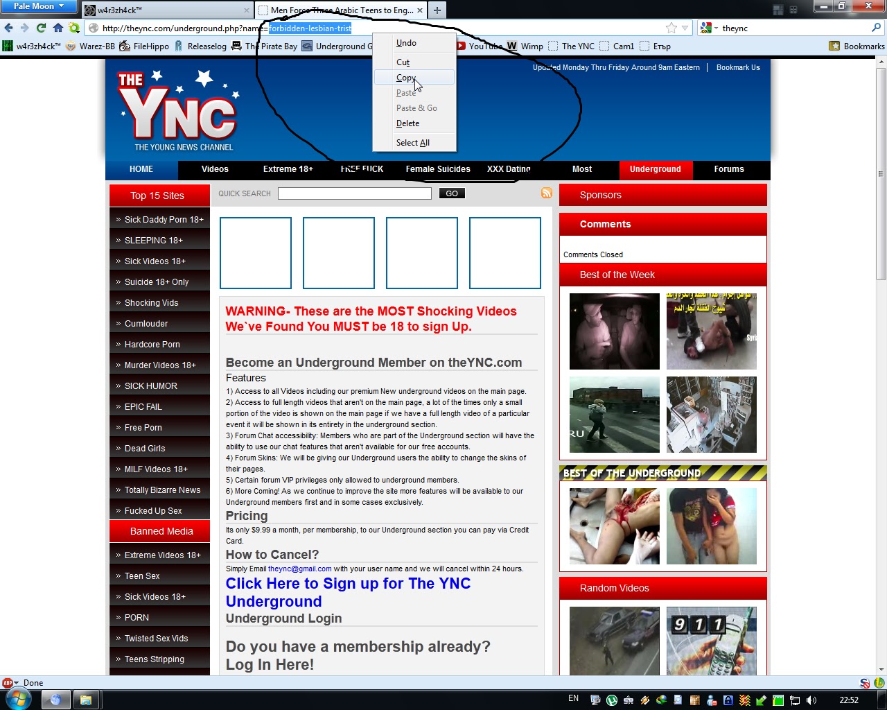 Ync Website