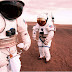 Sebelum Manusia, NASA Bakal Lebih Dulu Daratkan Mikroba di Planet Mars