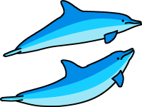 Dolphin Clipart
