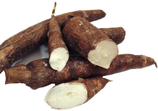 manfaat kulit singkong manfaat kulit singkong
